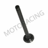 Βαλβίδες εισαγωγής