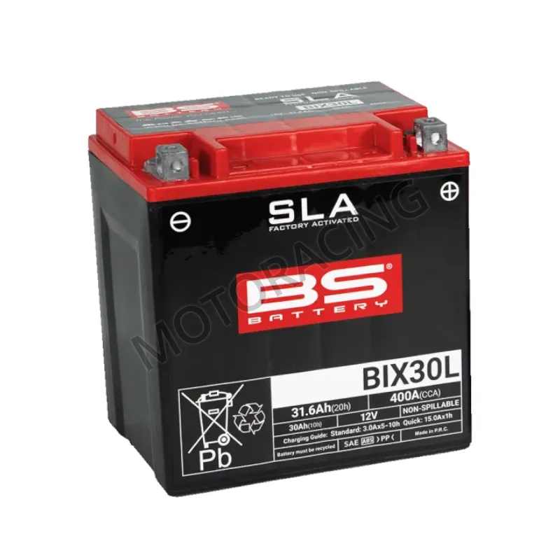 ΜΠΑΤΑΡΙΑ HARLEY DAVIDSON FLS 1690 10'-13' / CVO FLH (TOURING) 1803 07'-13' BS-BATTERY 12V 31.6Ah BIX30L-SLA GEL