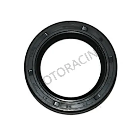 ΤΣΙΜΟΥΧΑ ASUS ESTATE 125i 18'-20' / TREVIS/B3 125 15'-17' ΓΝΗΣΙΑ