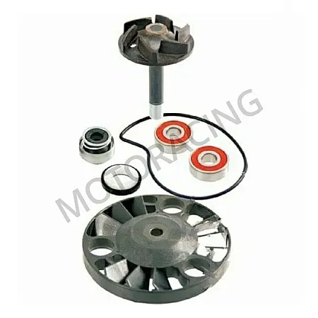 ΑΝΤΛΙΑ ΝΕΡΟΥ PIAGGIO BEVERLY 125 01'-15' / BEVERLY 250 04'-09' RMS