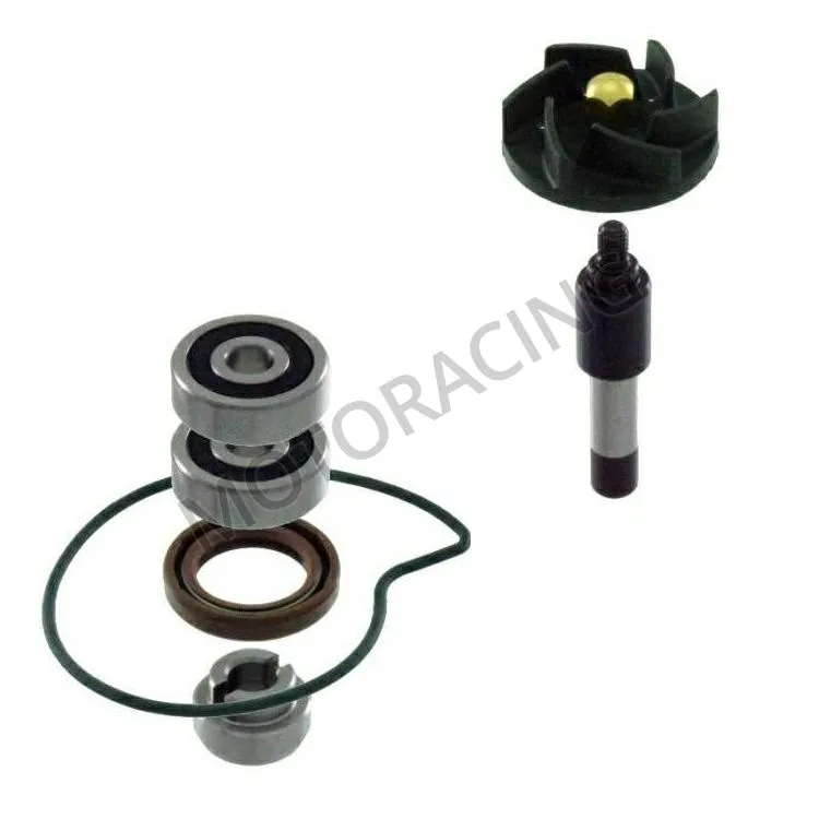 ΑΝΤΛΙΑ ΝΕΡΟΥ PIAGGIO BEVERLY 300 09'-11' RMS