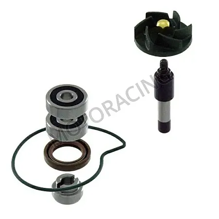 ΑΝΤΛΙΑ ΝΕΡΟΥ PIAGGIO BEVERLY 300 09'-11' RMS