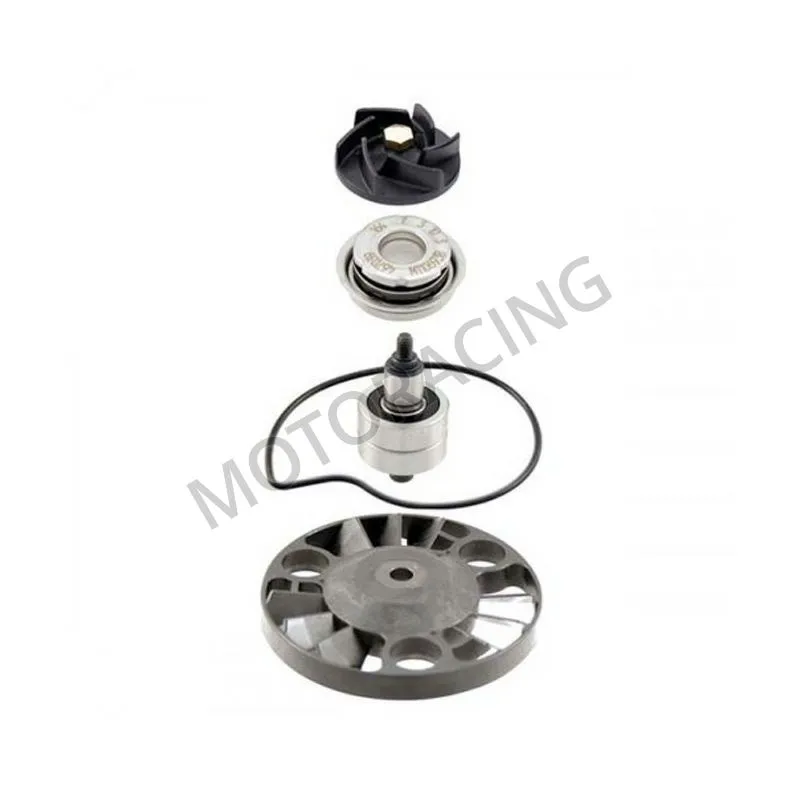 ΑΝΤΛΙΑ ΝΕΡΟΥ PIAGGIO BEVERLY 250 04'-07' RMS