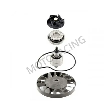 ΑΝΤΛΙΑ ΝΕΡΟΥ PIAGGIO BEVERLY 250 04'-07' RMS