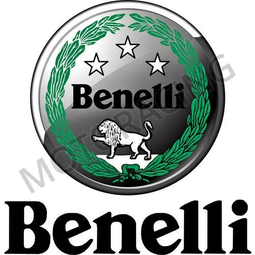 ΑΞΟΝΑΣ ΤΑΧΥΤΗΤΩΝ (ΕΠΙΛΟΓΕΑΣ) BENELLI TRK 251 19'-21' / LEONCINO 250 20-22' ΓΝΗΣΙΟΣ