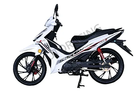 ASUS 125i CBS/EFI E5+ 2025 ΛΕΥΚΟ