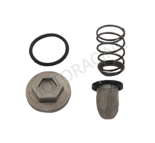 ΦΙΛΤΡΟ ΛΑΔΙΟΥ ΣΙΤΑ ASUS 125i 2024 ΜΕ ΕΛΑΤΗΡΙΟ ΓΝΗΣΙΟ