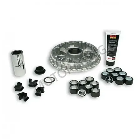 ΜΠΙΛΙΟΦΟΡΟΣ (ΒΑΡΙΑΤΟΡ) YAMAHA YP 400 MAJESTY 09'-13' / YP 400 X-MAX 13'-21' MALOSSI