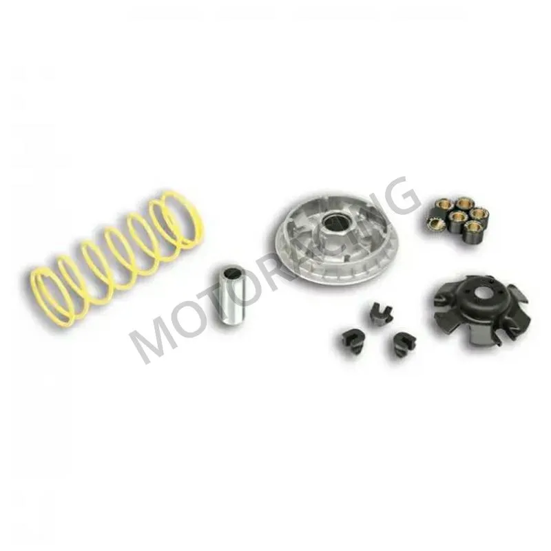 ΜΠΙΛΙΟΦΟΡΟΣ (ΒΑΡΙΑΤΟΡ) SYM CITYCOM 300 08'-19' / CRUISYM 300 17'-19' / HD 300 19'-23' MALOSSI