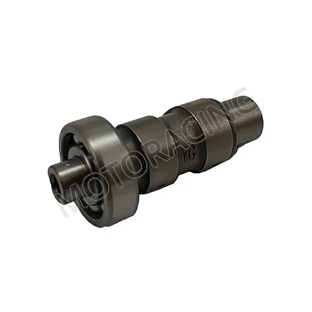 ΕΚΚΕΝΤΡΟΦΟΡΟΣ PIAGGIO FLY 100 4T '06-'15