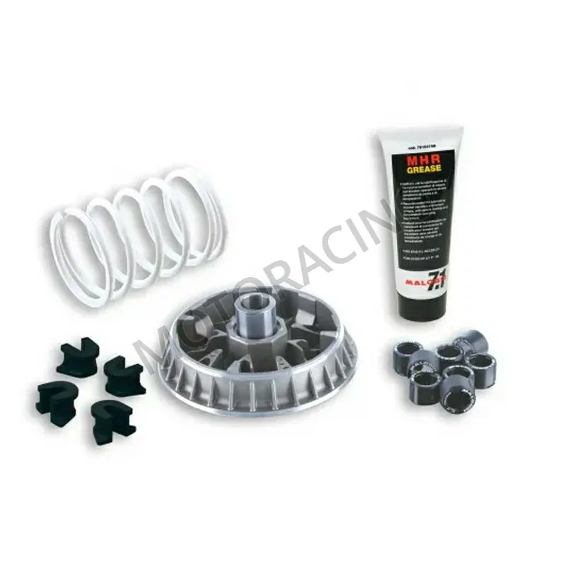 ΜΠΙΛΙΟΦΟΡΟΣ (ΒΑΡΙΑΤΟΡ) PEUGEOT XP 400 23'-24' MALOSSI