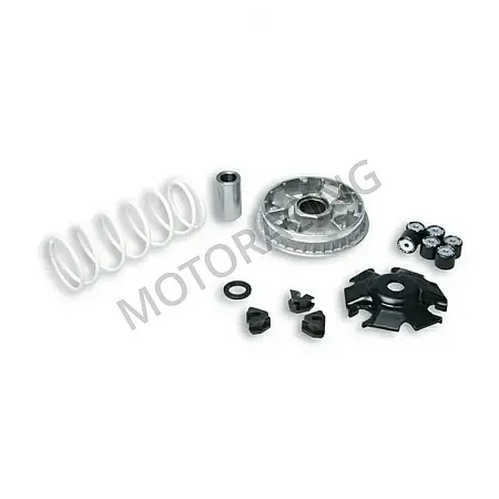 ΜΠΙΛΙΟΦΟΡΟΣ (ΒΑΡΙΑΤΟΡ) KYMCO DOWNTTOWN 125 09'-17' MALOSSI