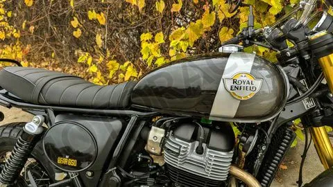 ROYAL ENFIELD BEAR 650 GOLDEN SHADOW