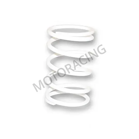 ΕΛΑΤΗΡΙΟ ΒΑΡΙΑΤΟΡ ΑΣΠΡΟ 71x129MM - 6MM 11,9N/MM ΛΕΥΚΟ MALOSSI