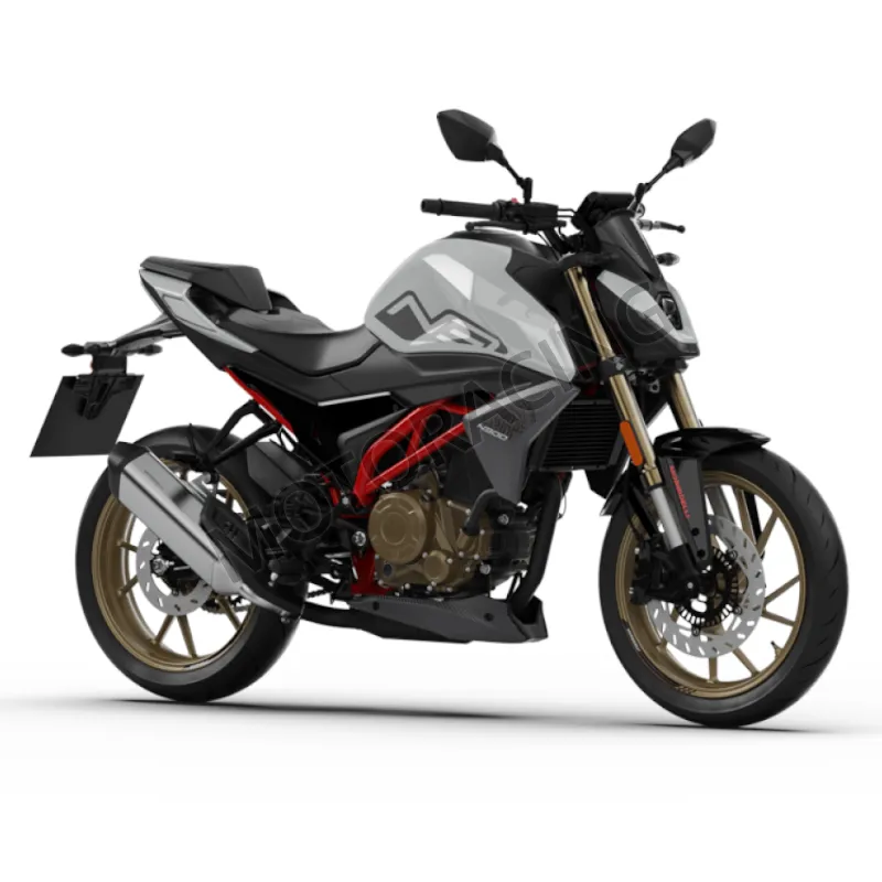 MORBIDELLI N300 E5+ ΛΕΥΚΟ