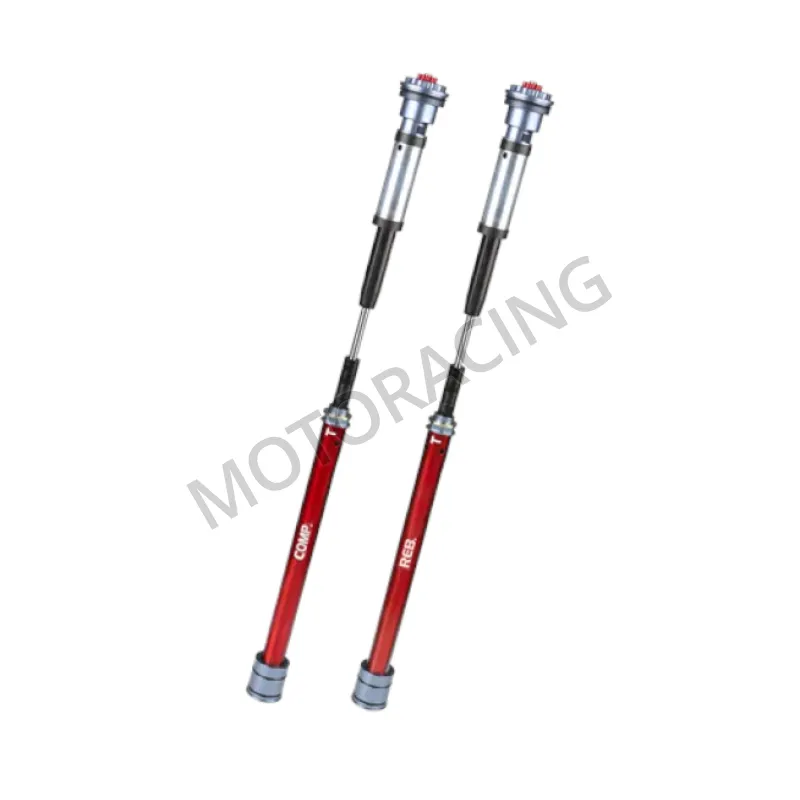 ΦΥΣΙΓΓΙΑ ΠΙΡΟΥΝΙΟΥ HONDA FORZA 750 25' YSS