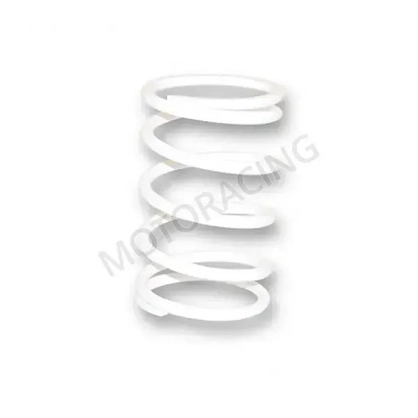 ΕΛΑΤΗΡΙΟ ΒΑΡΙΑΤΟΡ ΑΣΠΡΟ 71x129MM - 6MM 11,9N/MM ΛΕΥΚΟ MALOSSI