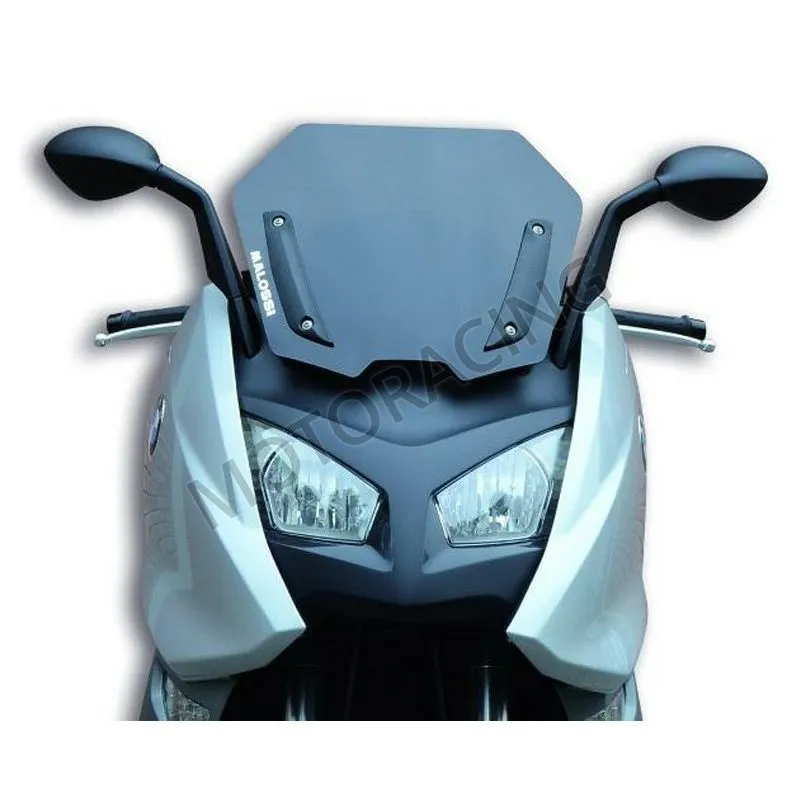 ΖΕΛΑΤΙΝΑ / ΠΑΡΜΠΡΙΖ BMW C 600 Sport ie 12' MALOSSI MHR