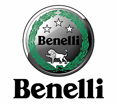 ΛΕΒΙΕΣ ΑΠΟΣΥΜΠΛΕΞΗΣ BENELLI BN 251 ABS 17' ΓΝΗΣΙΟΣ