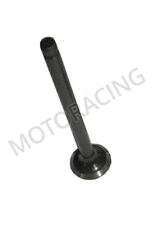 ΒΑΛΒΙΔΑ ΕΞΑΓΩΓΗΣ FORZA 50