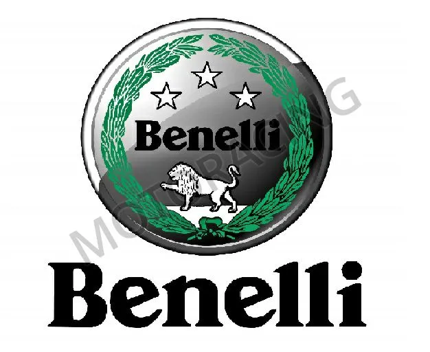 ΦΤΕΡΟ ΜΠΡΟΣΤΑ BENELLI BN 302 ABS 17'-22' ΛΕΥΚΟ ΓΝΗΣΙΟ